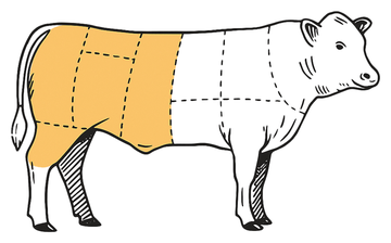 Cow drawing with the rear half shaded, showing the size of a half share