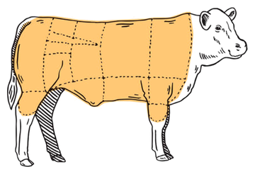 Cow drawing with the whole body shaded, showing a whole share